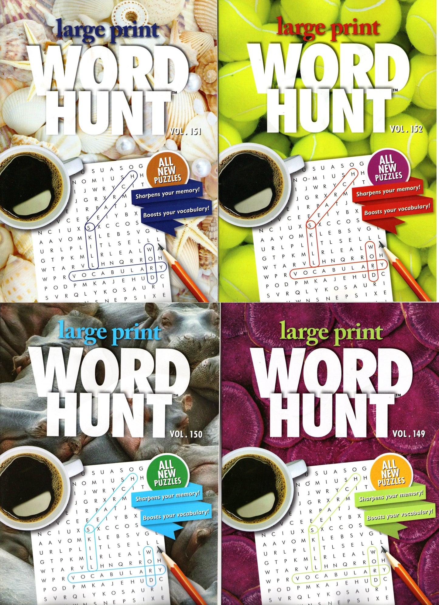 Large Print Word Hunt - All New Puzzles - Vol.149-152