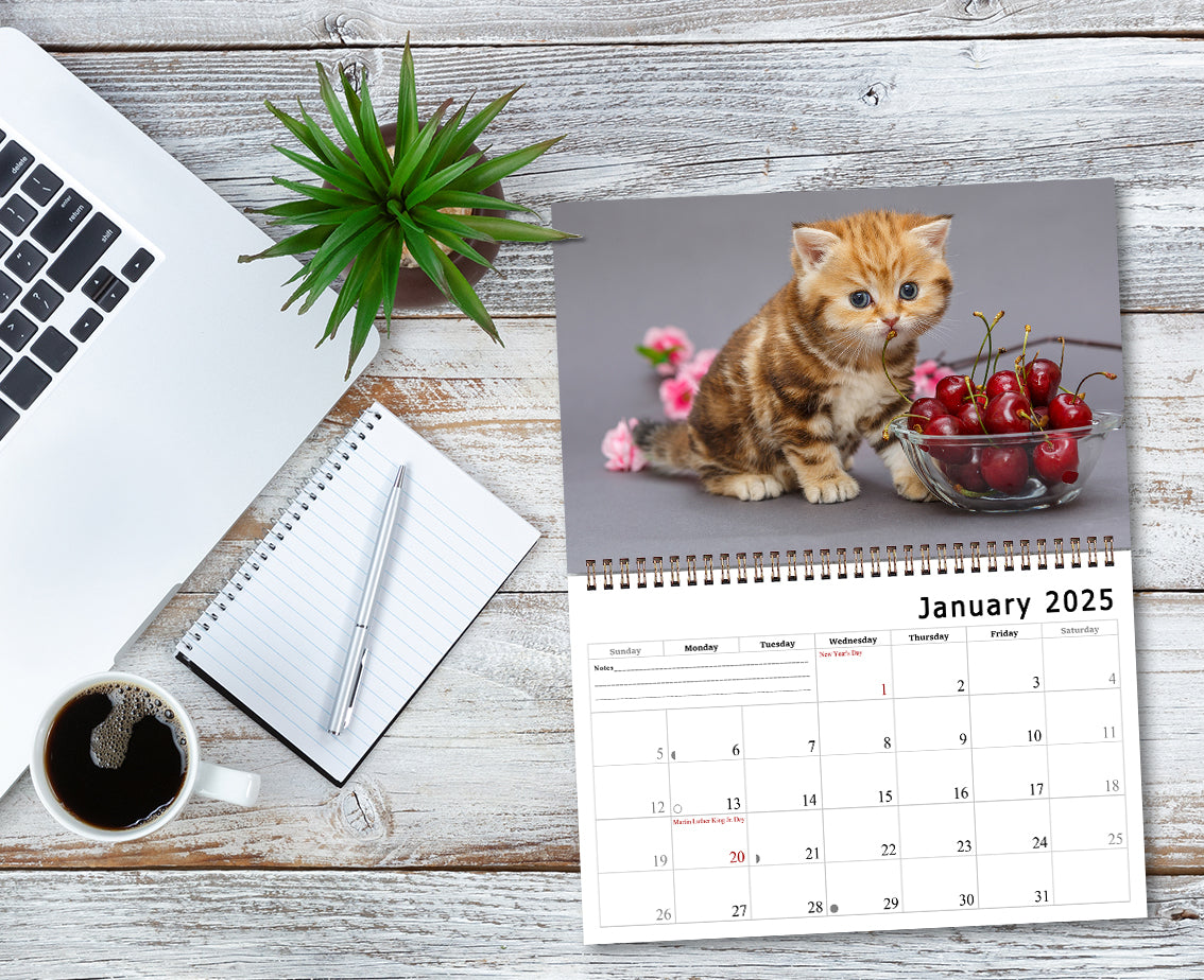 2025 Spiral-bound Wall Calendar (Kittens) - 12 Months Desktop/Wall Calendar/Planner