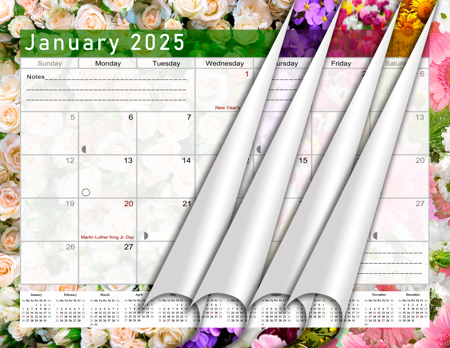 2025 Monthly Magnetic/Desk Calendar - 12 Months Desktop/Wall Calendar/Planner - (Edition #23)