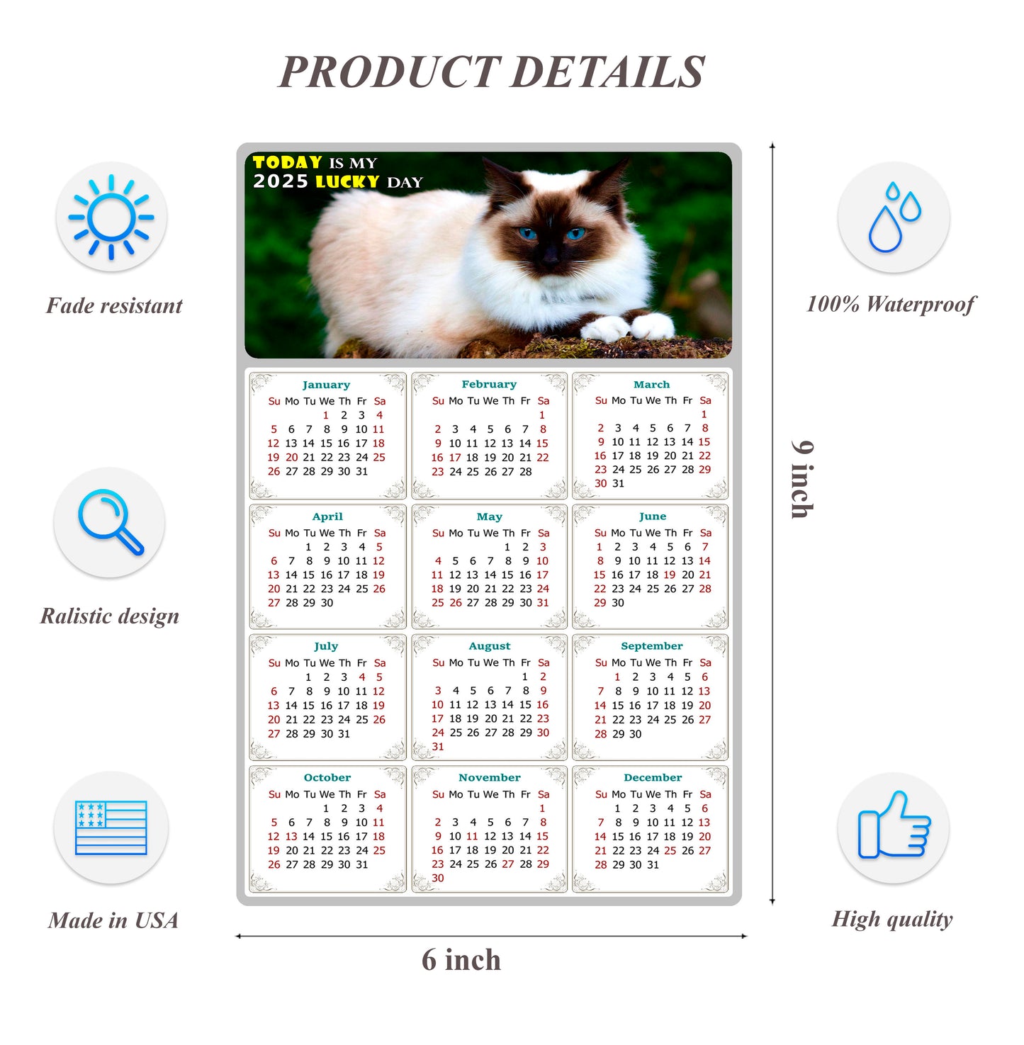 2025 Peel & Stick Calendar - Today is my Lucky Day Removable - Cat 02 (9"x 6")