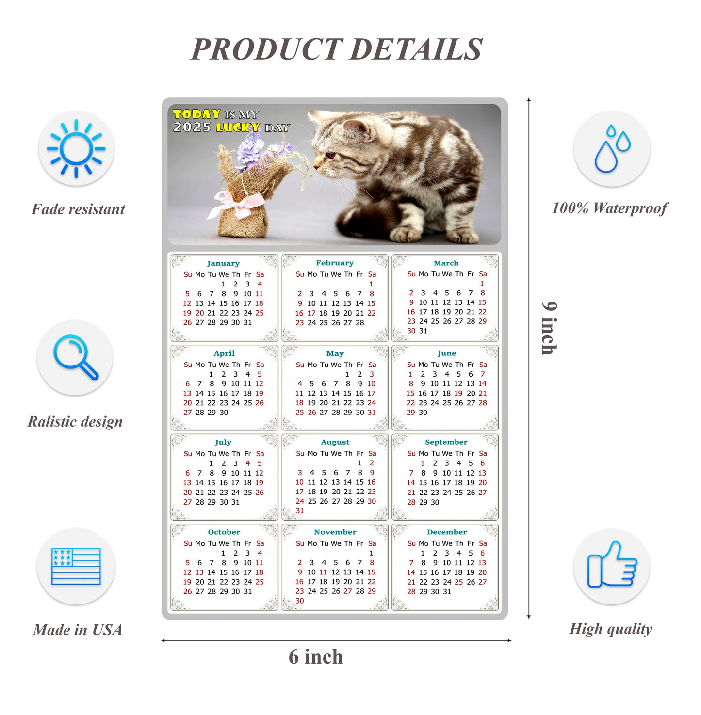 2025 Peel & Stick Calendar - Today is my Lucky Day Removable - Cat 025 (9"x 6")