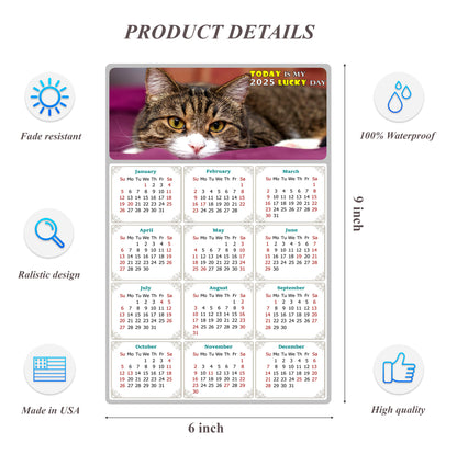 2025 Peel & Stick Calendar - Today is my Lucky Day Removable - Cat 022 (9"x 6")