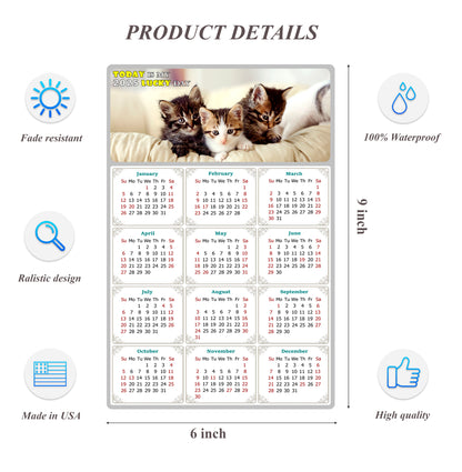 2025 Peel & Stick Calendar - Today is my Lucky Day Removable - Cat 021 (9"x 6")