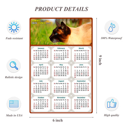 2025 Peel & Stick Calendar - Today is my Lucky Day Removable - Cat 03 (9"x 6")