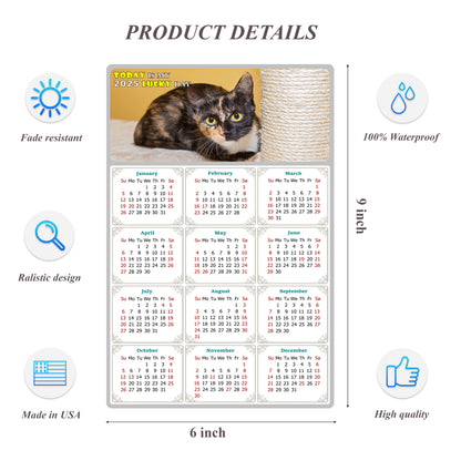 2025 Peel & Stick Calendar - Today is my Lucky Day Removable - Cat 024 (9"x 6")