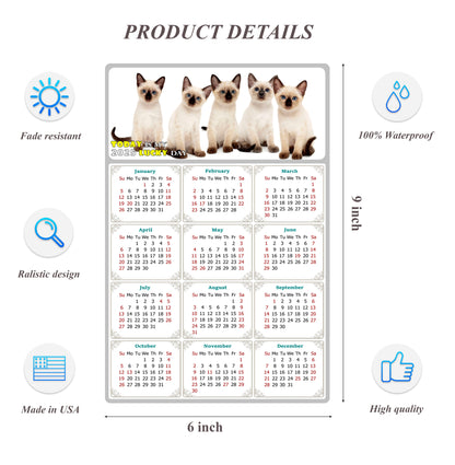 2025 Peel & Stick Calendar - Today is my Lucky Day Removable - Cat 020 (9"x 6")