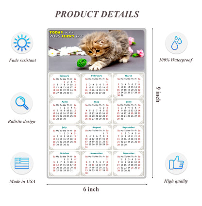 2025 Peel & Stick Calendar - Today is my Lucky Day Removable - Cat 017 (9"x 6")