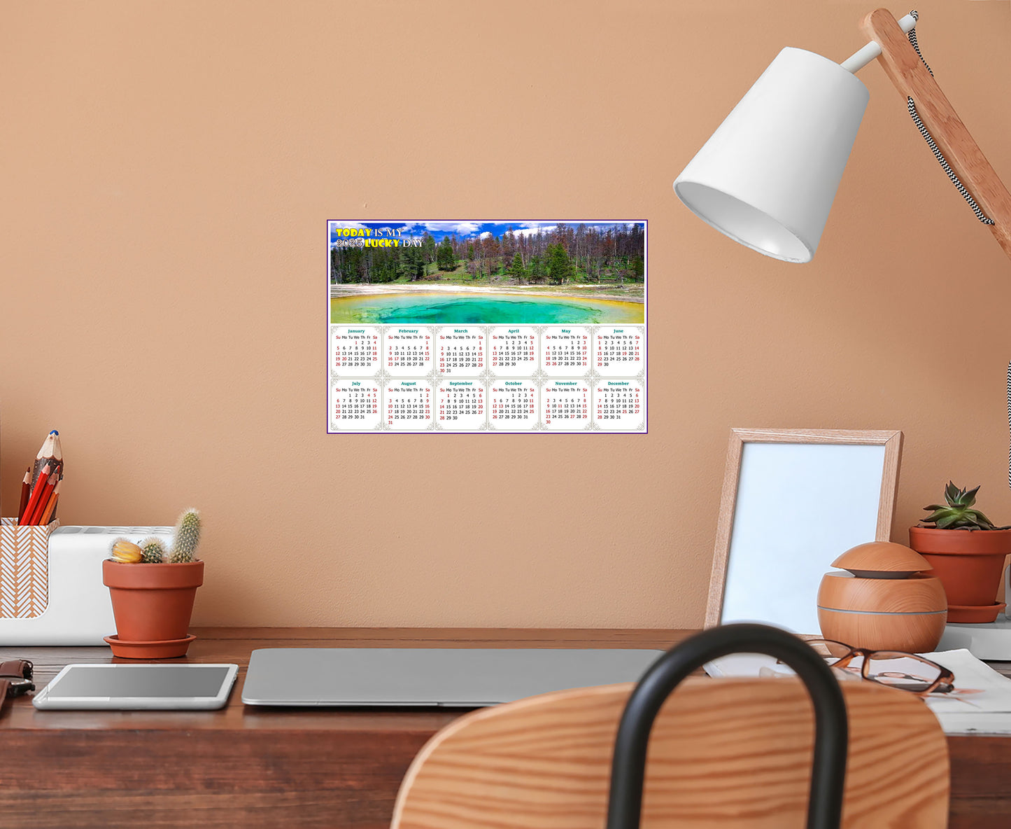 2025 Peel & Stick Calendar - Today is my Lucky Day - Removable, Repositionable - 029 (9"x 6")