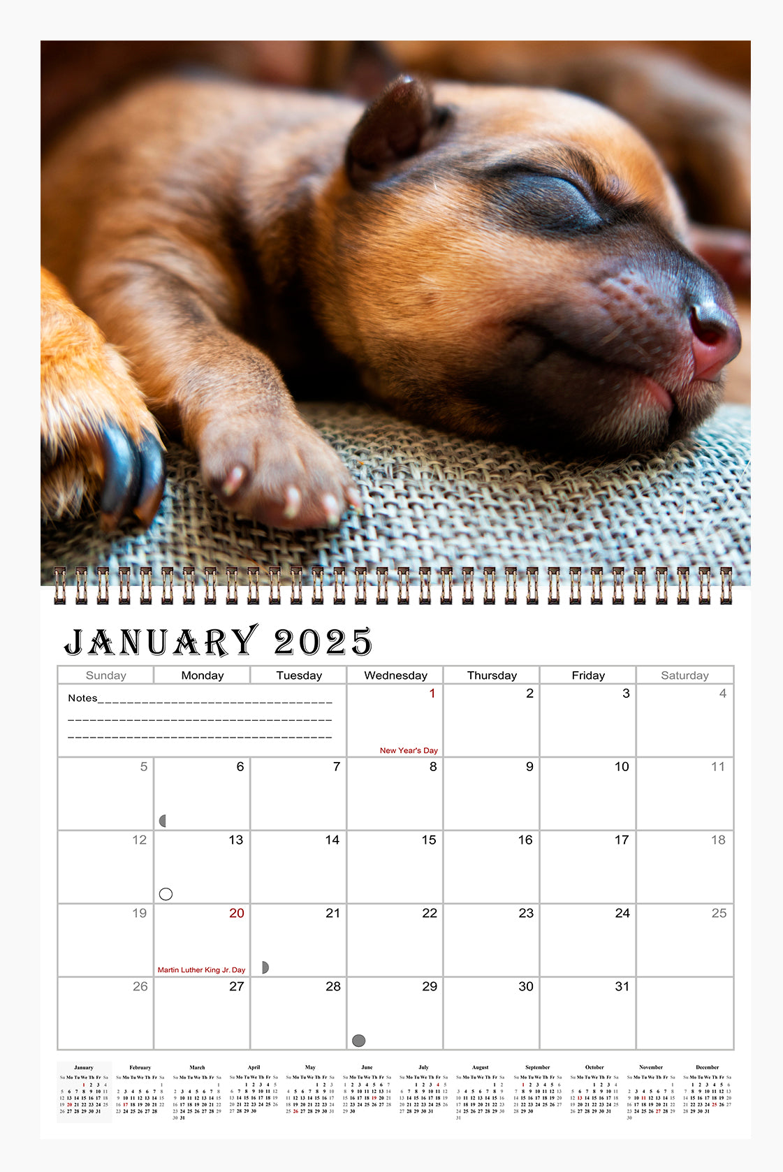 2025 Spiral-bound Wall Calendar (Dogs) - 12 Months Desktop/Wall Calendar/Planner