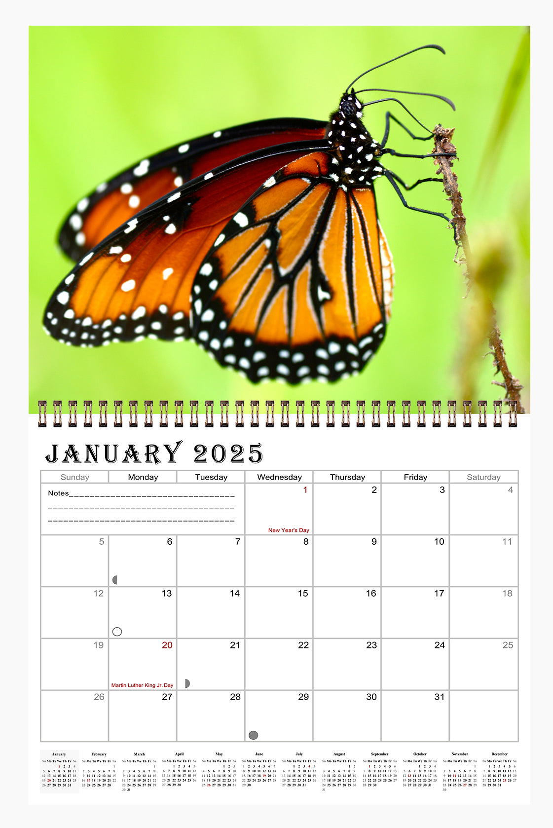 2025 Spiral-bound Wall Calendar (Butterflyes) - 12 Months Desktop/Wall Calendar/Planner