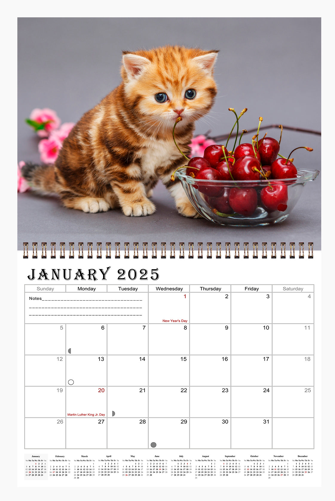 2025 Spiral-bound Wall Calendar (Kittens) - 12 Months Desktop/Wall Calendar/Planner