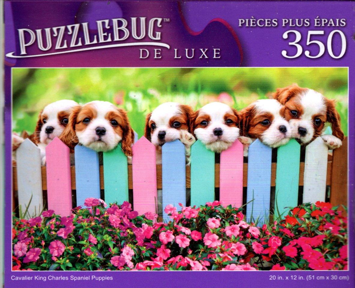 Cavalier King Charles Spaniel Puppies - 350 Pieces Deluxe Jigsaw Puzzle