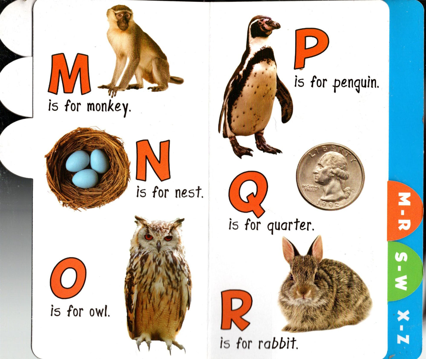 Educational Workbooks - Animals, My Day, Alphabet, First Words (Set of 4)