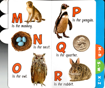 Educational Workbooks - Animals, My Day, Alphabet, First Words (Set of 4)