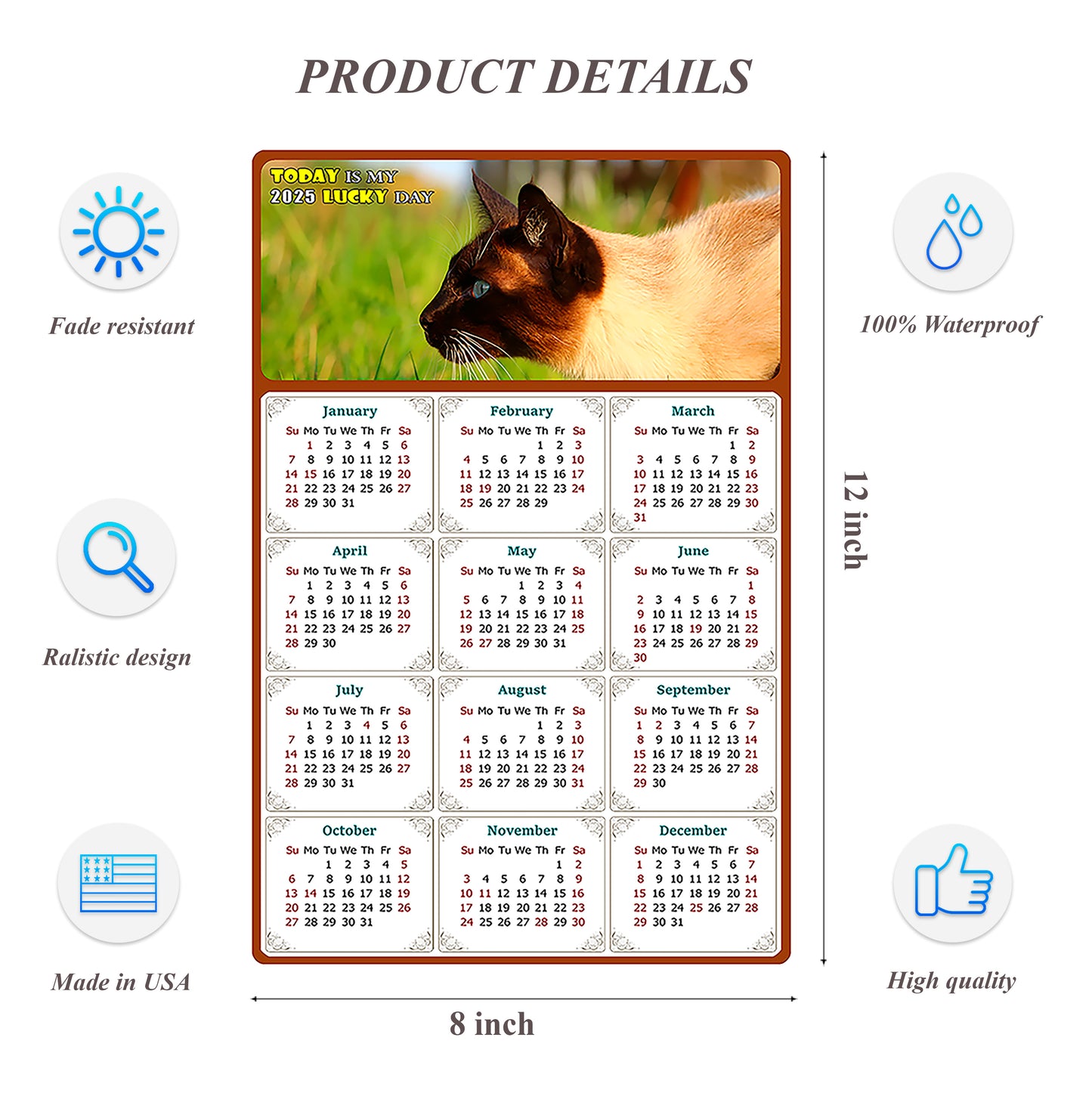 2025 Peel & Stick Calendar - Today is my Lucky Day Removable - Cat 03 (12"x 8")