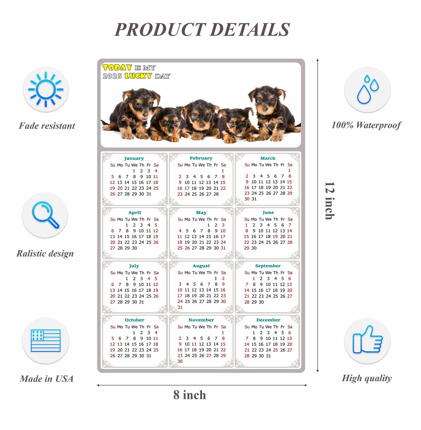 2025 Peel & Stick Calendar - Today is my Lucky Day Removable - Dogs 016 (12"x 8")