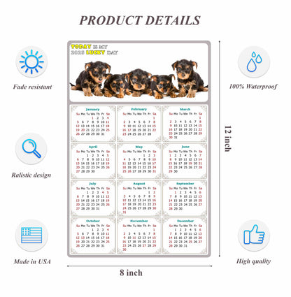 2025 Peel & Stick Calendar - Today is my Lucky Day Removable - Dogs 016 (12"x 8")