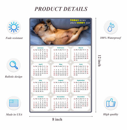 2025 Peel & Stick Calendar - Today is my Lucky Day Removable - Dogs 013 (12"x 8")