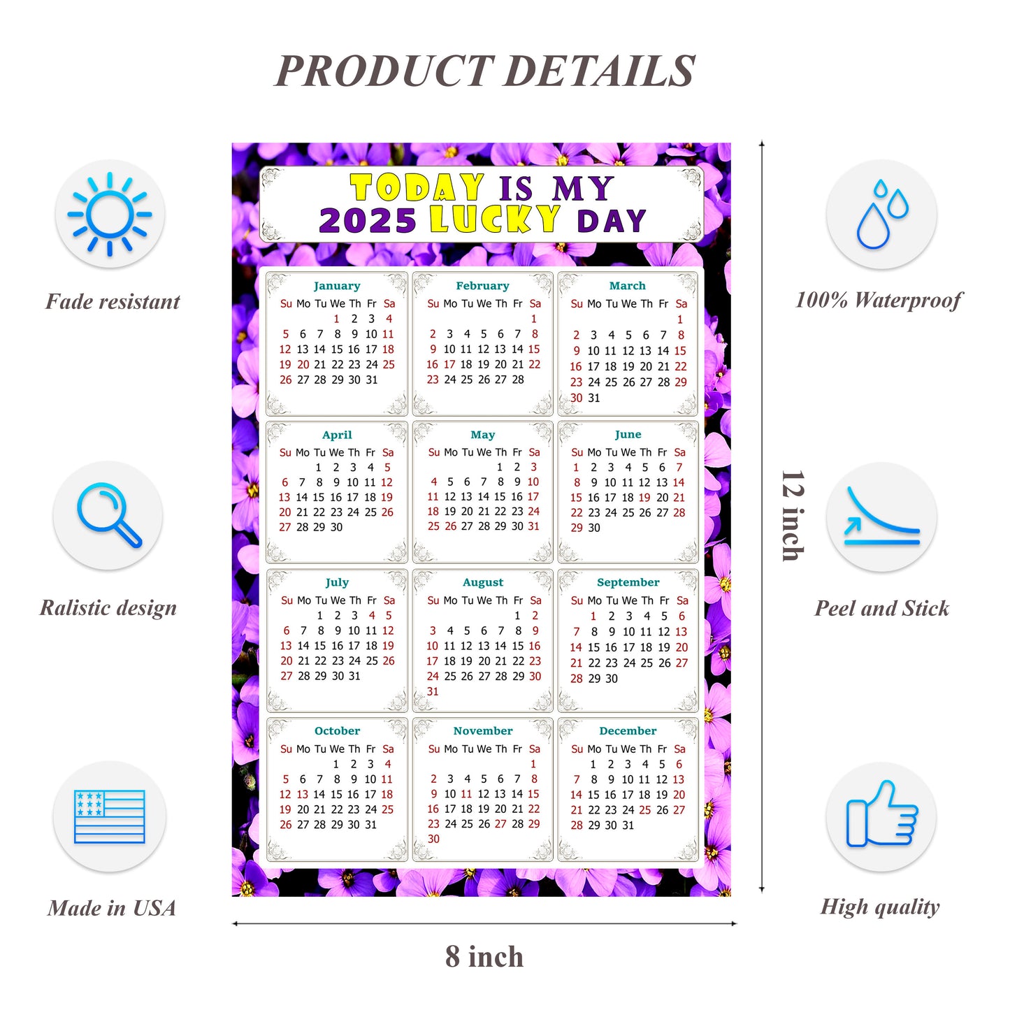 2025 Peel & Stick Calendar - Today is my Lucky Day Removable - 026