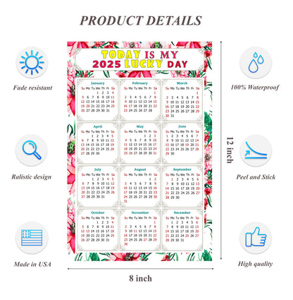 2025 Peel & Stick Calendar - Today is my Lucky Day Removable - 018