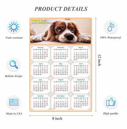 2025 Peel & Stick Calendar - Today is my Lucky Day Removable - Dogs 01 (12"x 8")