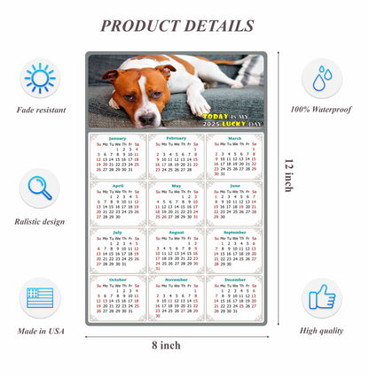 2025 Peel & Stick Calendar - Today is my Lucky Day Removable - Dogs 017 (12"x 8")