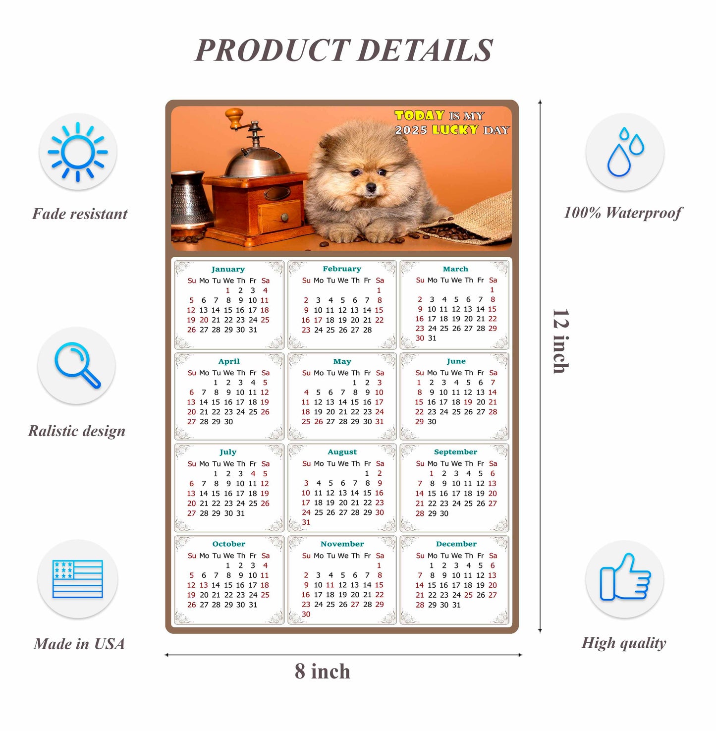 2025 Peel & Stick Calendar - Today is my Lucky Day Removable - Dogs 019 (12"x 8")