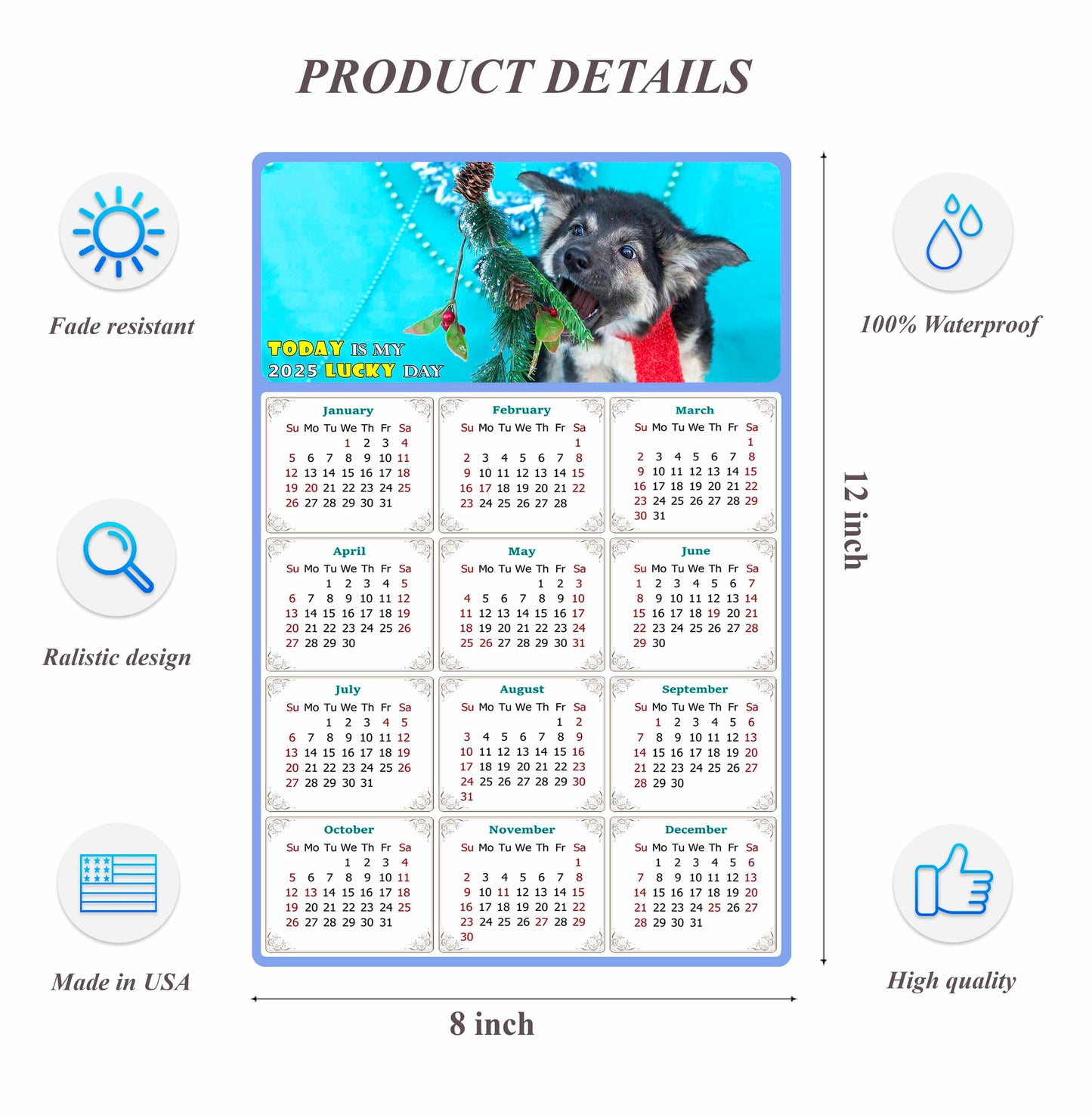 2025 Peel & Stick Calendar - Today is my Lucky Day Removable - Dogs 020 (12"x 8")