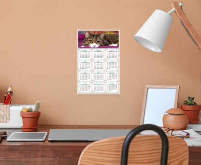 2025 Peel & Stick Calendar - Today is my Lucky Day Removable - Cat 022 (9"x 6")