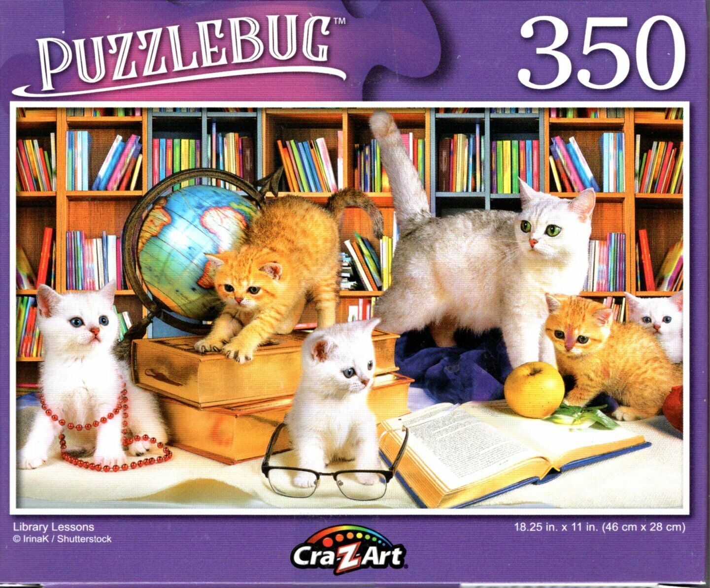 Library Lessons - 350 Pieces Jigsaw Puzzle