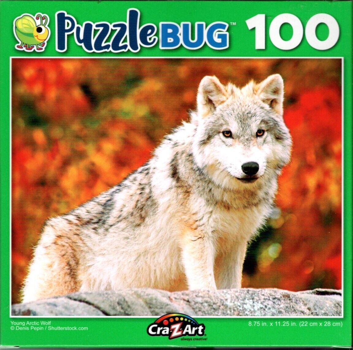 Young Arctic Wolf - 100 Pieces Jigsaw Puzzle