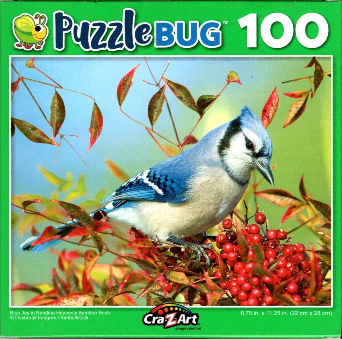 Blue Jay in Nandina Heavenly Bamboo Bush - 100 Pieces Jigsaw Puzzle
