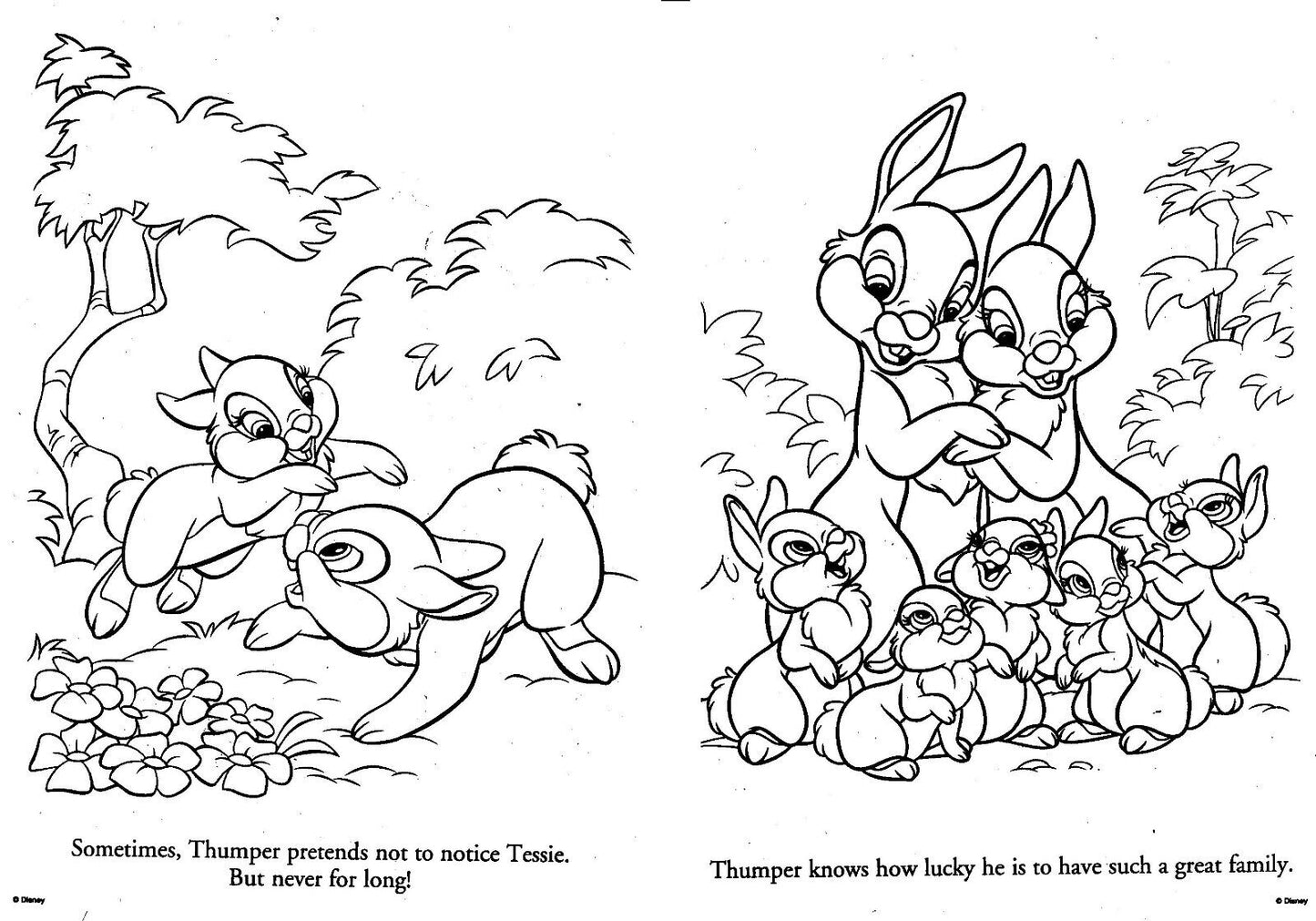 Disney Bannies - Big Fun Book to Color - Banny Fun