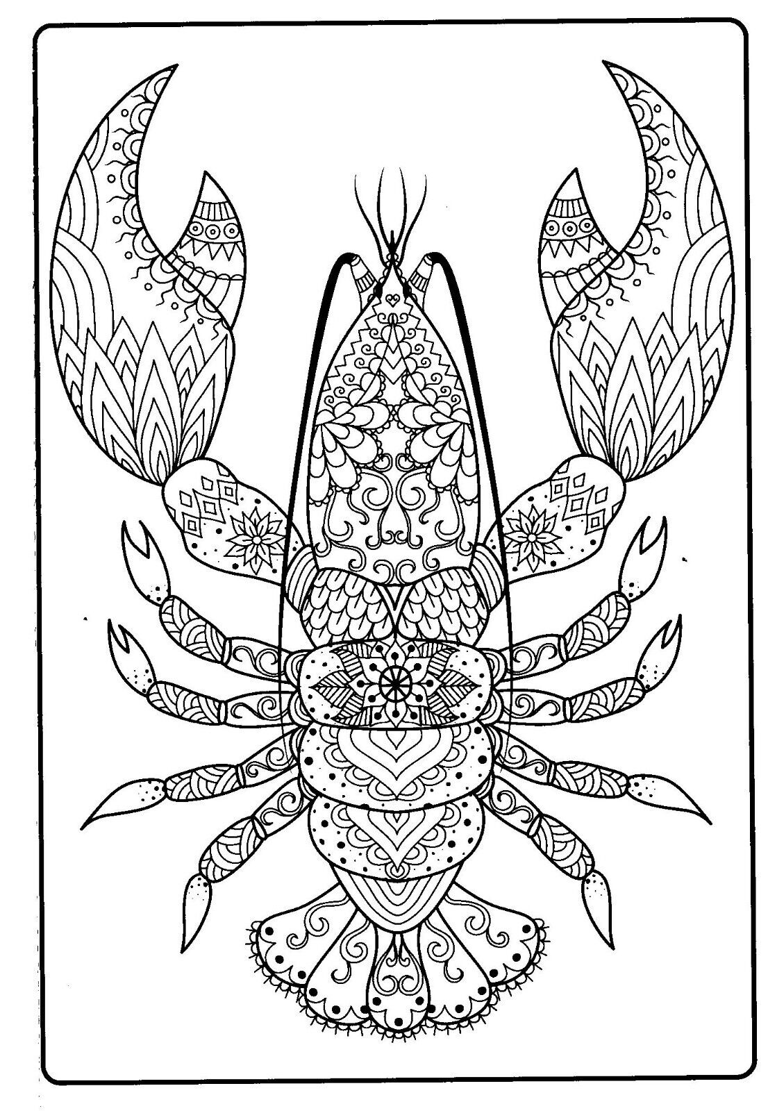 Ocean Treasures - Adult Coloring Book