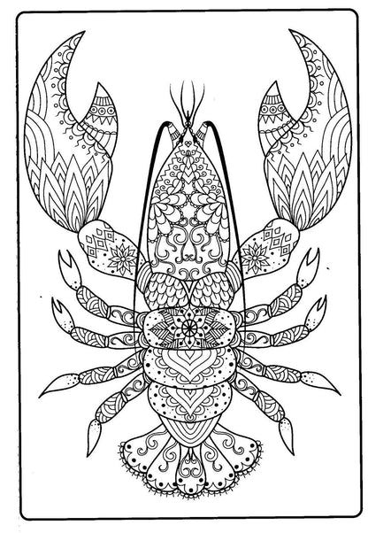 Ocean Treasures - Adult Coloring Book