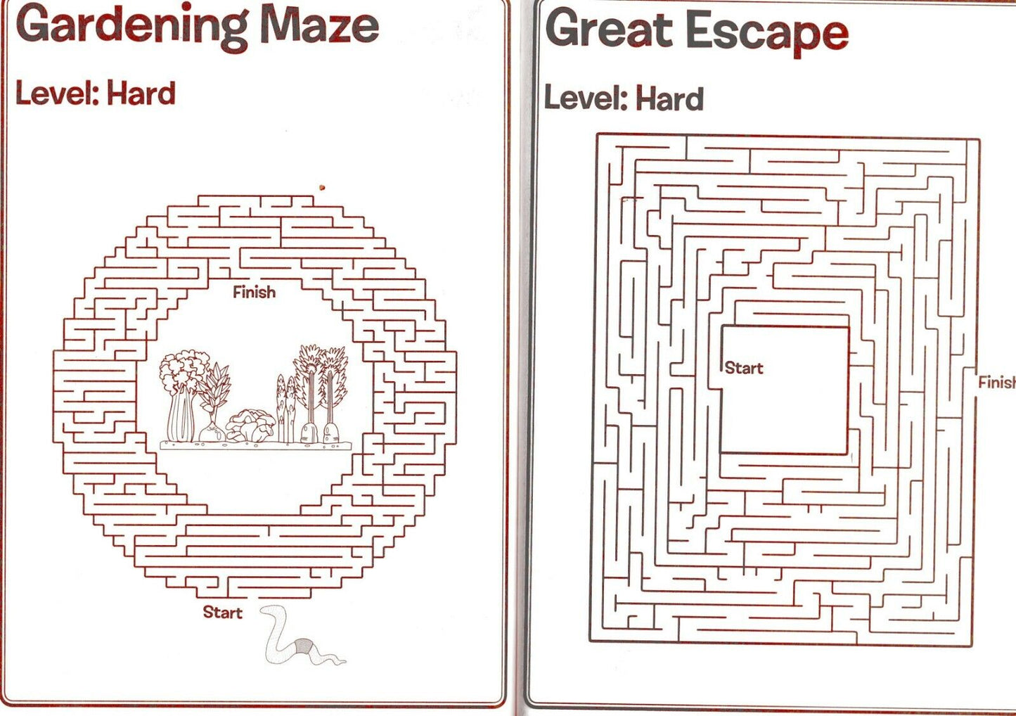 Maze Craze Activity Book for Kids Easy Medium Hard Levels - v1