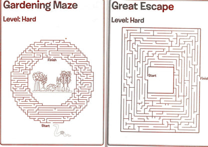 Maze Craze Activity Book for Kids Easy Medium Hard Levels - v1