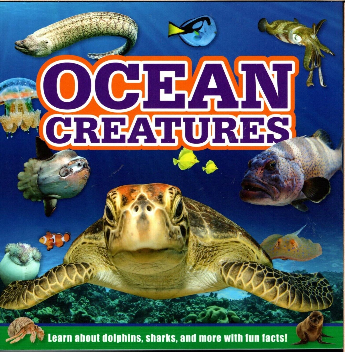 Ocean Creatures - Learn about all Dolphins, Sharks, and more with Fun Facts! Book