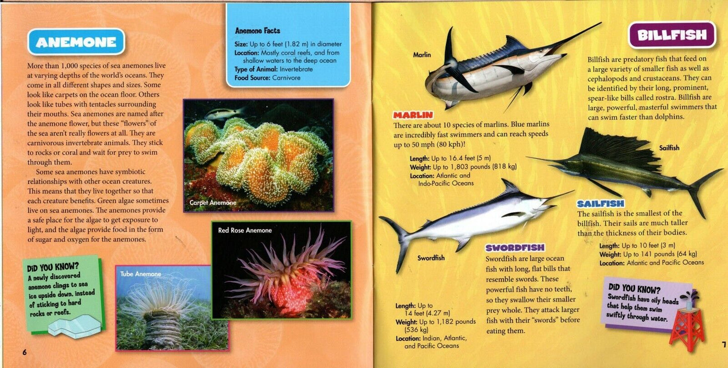 Ocean Creatures - Learn about all Dolphins, Sharks, and more with Fun Facts! Book