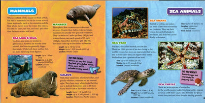 Ocean Creatures - Learn about all Dolphins, Sharks, and more with Fun Facts! Book