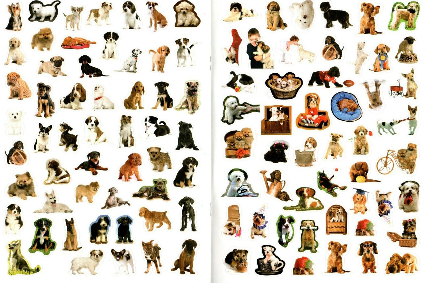 Puppies - Sticker Activity Book - More Than 100 Reusable Stickers Inside