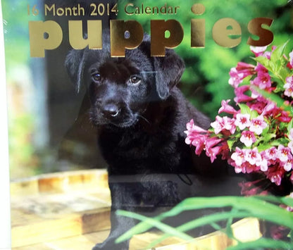 Puppies (Paper Craft) 2014 16-Month Wall Calendar 12in x 12in