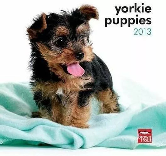 (7x7) Yorkshire Terrier Puppies - 2013 Mini Calendar by Poster Revolution