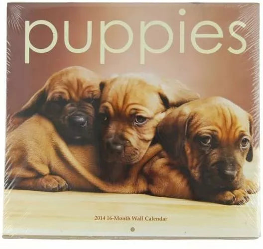 2014 Puppies 16 Month Wall Calendar