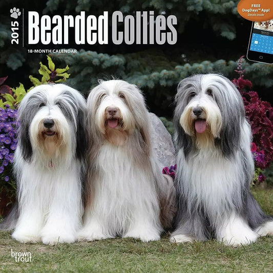 Bearded Collies 2015 Wall Calendar