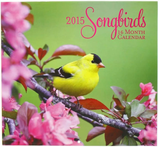 2015 Wall Calendar - 16 Month Songbirds Design