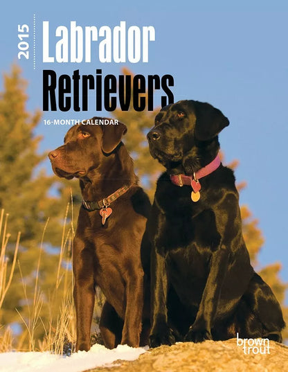 Labrador Retrievers 2015 Engagement Mini Calendar