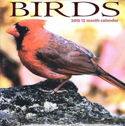 Birds - 2015 12 Month Wall Calendar