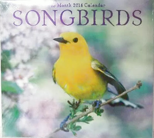 2014 Songbirds16 Month Wall Calendar 12 X 11 Inches