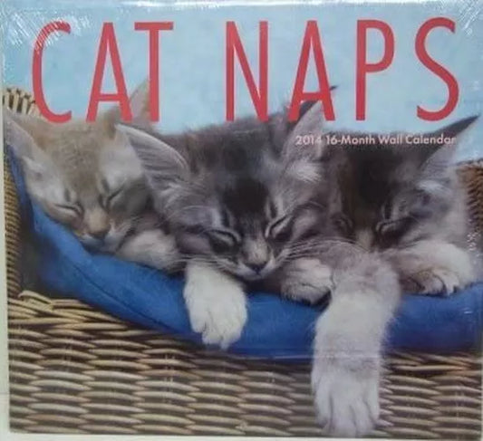 Cat Naps 2014 16-Month Wall Calendar 12in x 12in